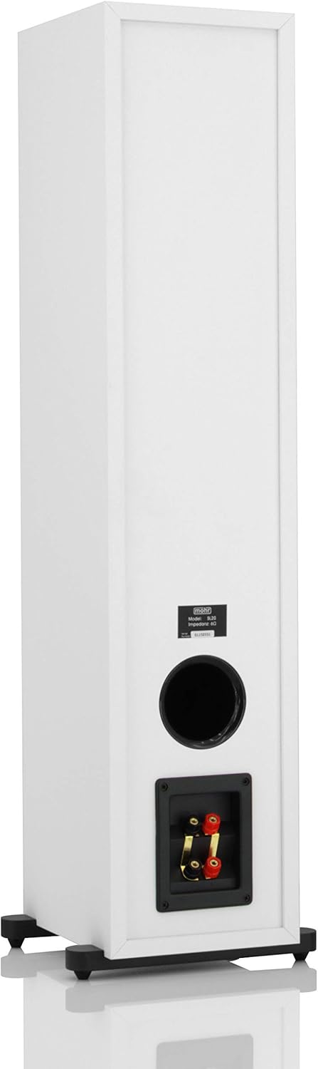 mohr 1 Stück SL20, Standlautsprecher, Lautsprecherboxen, wavecor Hochtöner, Tieftonmembran aus Polya