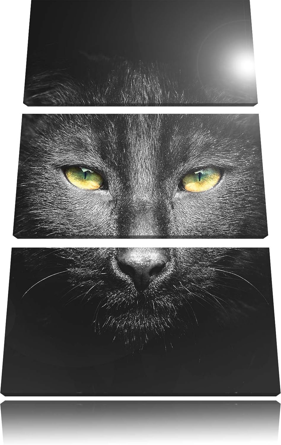 Pixxprint Katzenkopf mit düsterem Hintergrund schwarz/weiss als Leinwandbild/Grösse: 3 Teilig (120x8