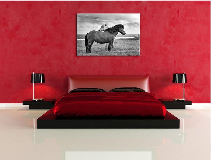 Pixxprint Pferde auf der Wiese als Leinwandbild/Grösse: 100x70 / Wandbild/Kunstdruck/fertig bespannt