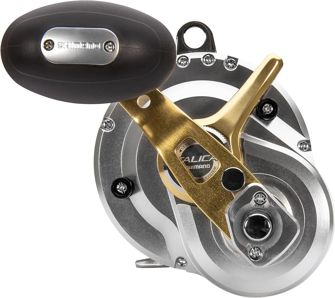 Shimano Talica Ii Cam Konventionelle Rollen Übersetzung: 5,2:1 | Grösse: 25 rechts, Übersetzung: 5,2
