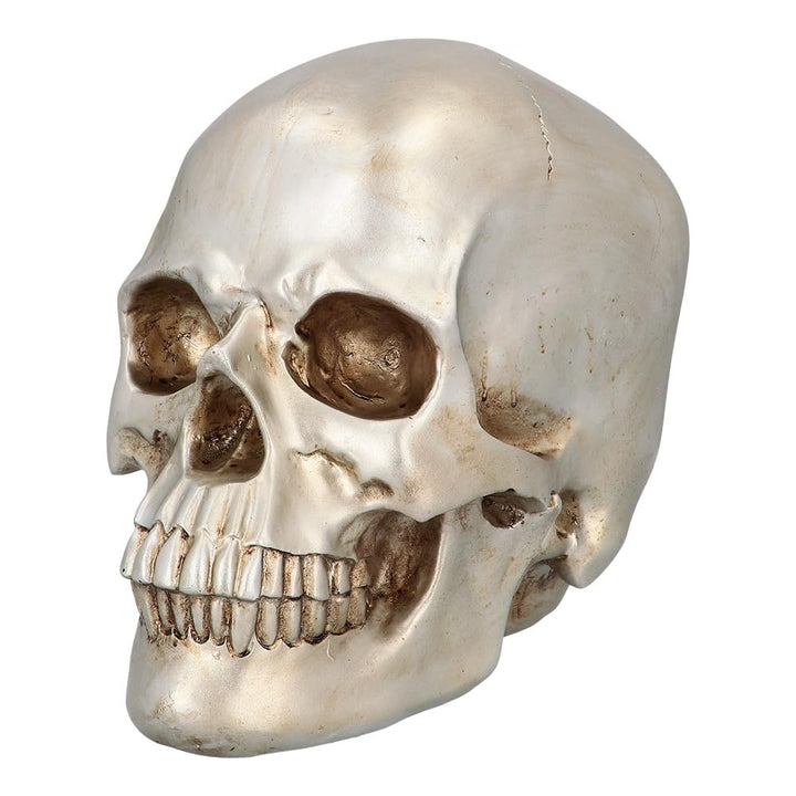 Boland 73090 - Totenkopf Schädel Shine, Halloween Dekoration für Haus und Garten, Deko Schädel, Tisc