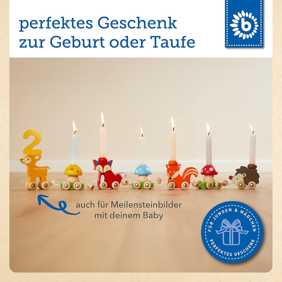 Bieco 23023083 Holz Geburtstagszug Waldtiere mit Zahlen 0-9, Mehrfarbig, 17 Stück (1er Pack)