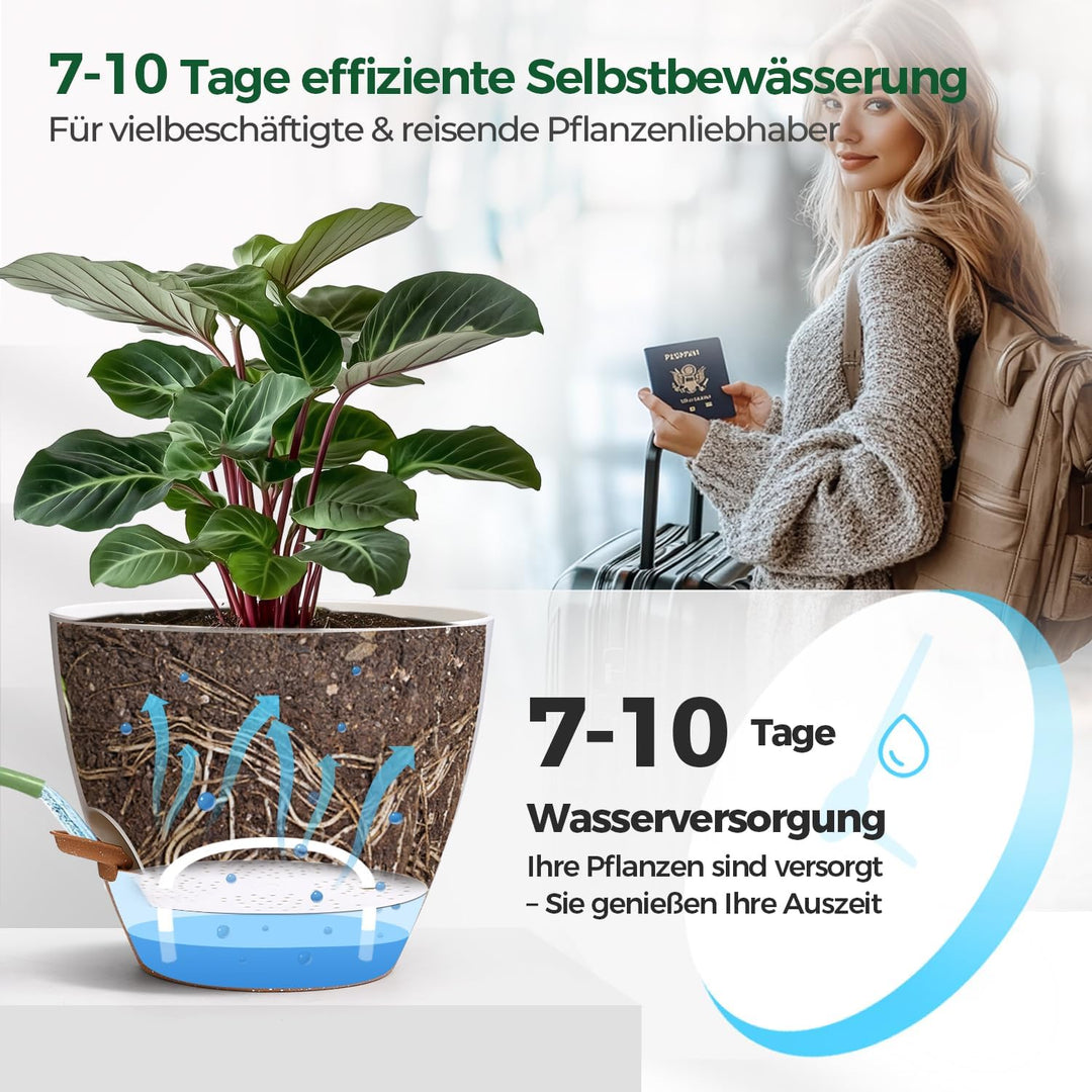 T4U 2er Set Automatische Bewässerung Übertopf 20 cm Durchmesser, Kräutertopf Küche, Kräutertöpfe – g