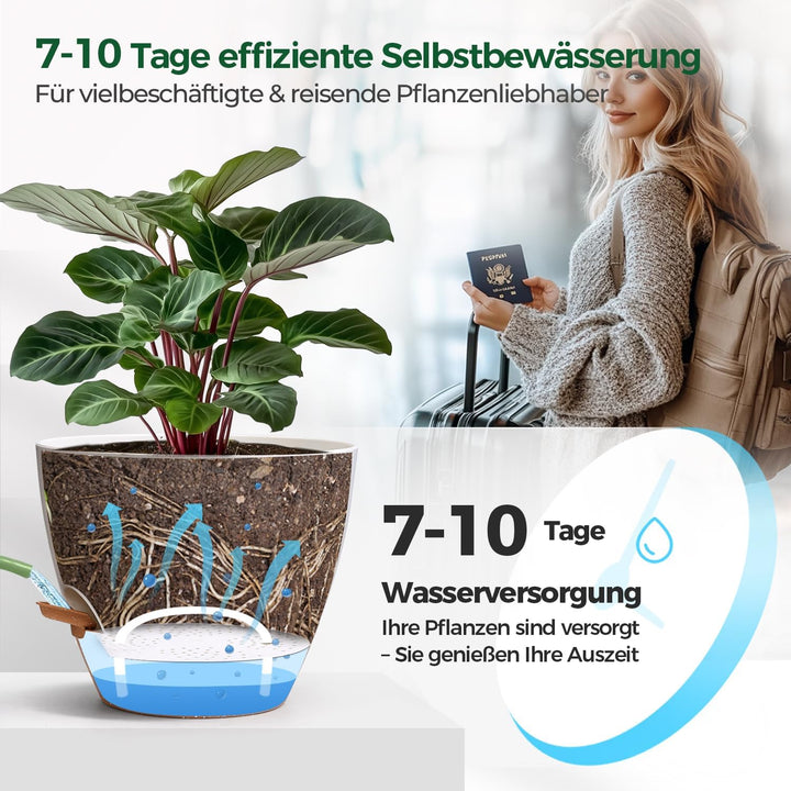 T4U 2er Set Automatische Bewässerung Übertopf 20 cm Durchmesser, Kräutertopf Küche, Kräutertöpfe – g