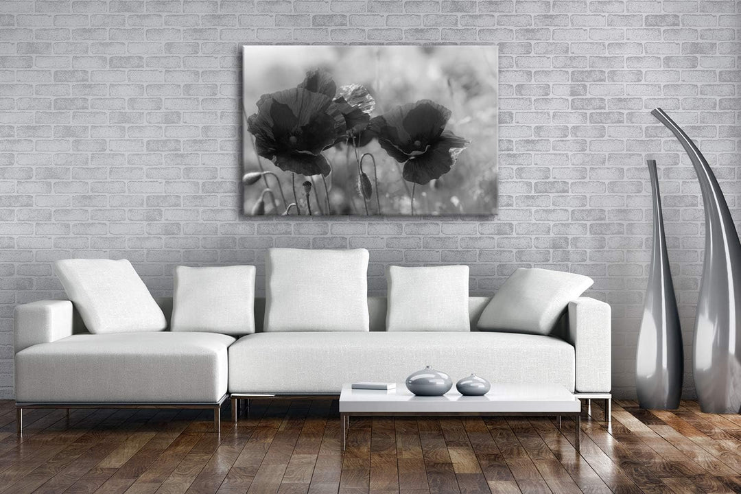deyoli bezaubernde Mohnblumen Format: 80x60 Effekt: Schwarz&Weiss als Leinwandbild, Motiv fertig ger