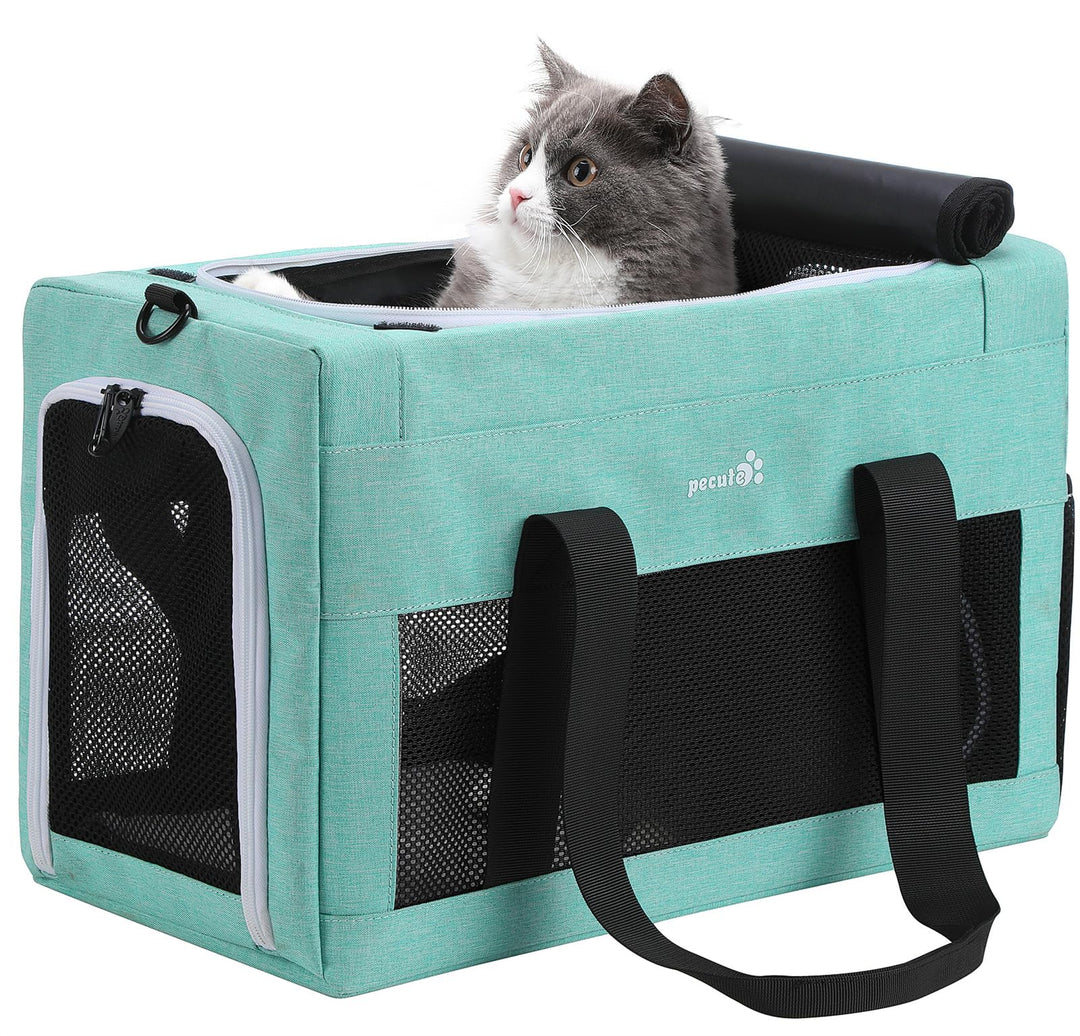 pecute Katzentasche Transporttasche Flugtasche Stabiler Halt Haustier Tragetasche, Transportbox Katz