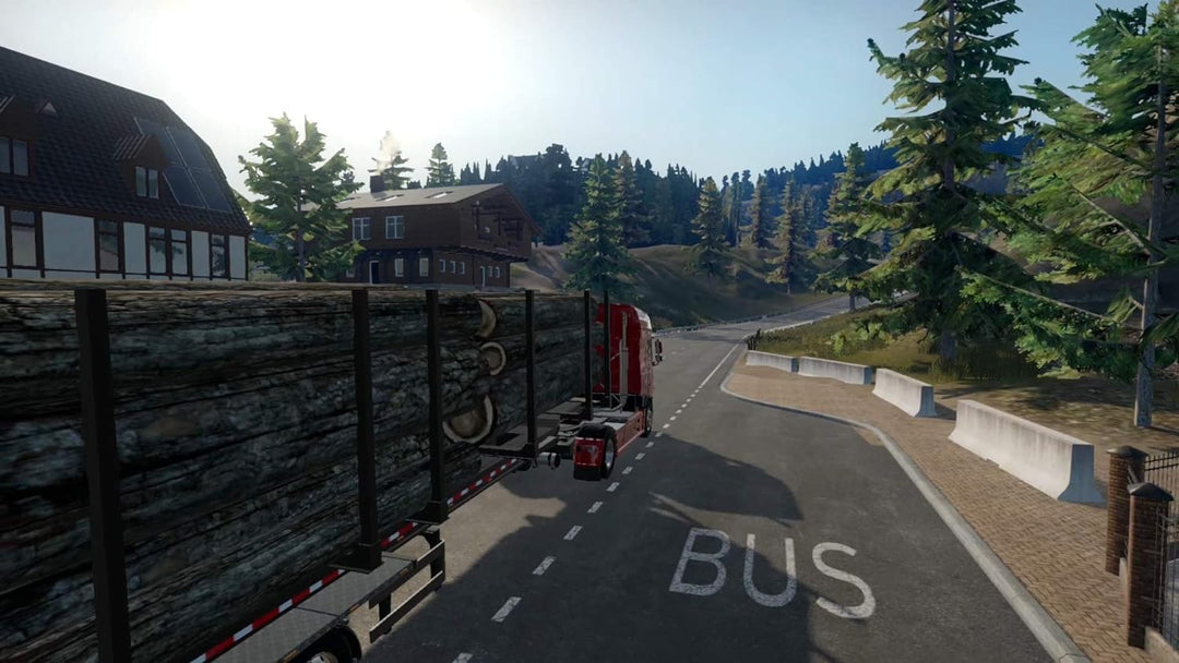 Truck Driver - Nintendo Switch Standard, Standard