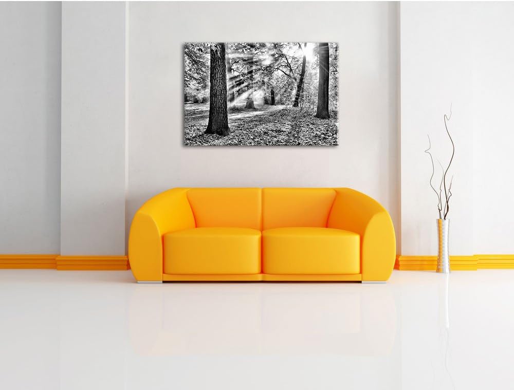 Pixxprint Monocrome, Sonnenstrahlen im Wald, Format: 100x70 auf Leinwand, 100x70