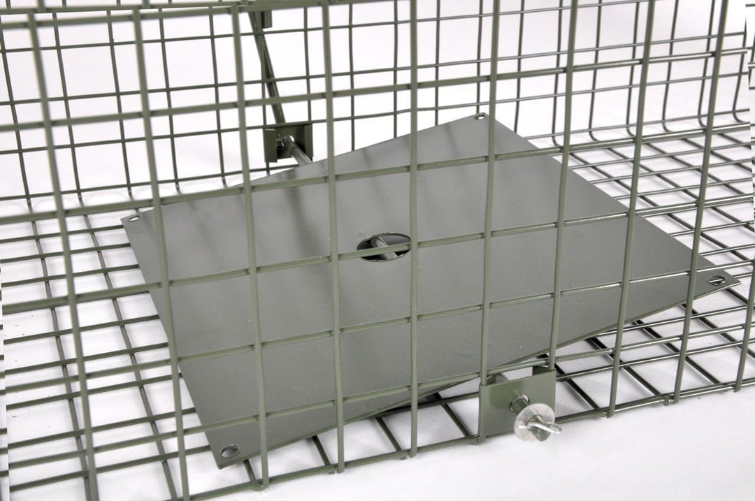 KrapTrap® Tierfalle Katzenfalle Lebendfalle Marderfalle mit Holzboden