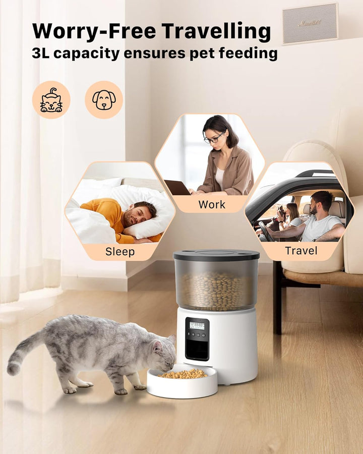 BEMOONY Futterautomat Katze, Katzenfutter Automat mit Programmierbarem Timer, 1-6 Mahlzeiten pro Tag