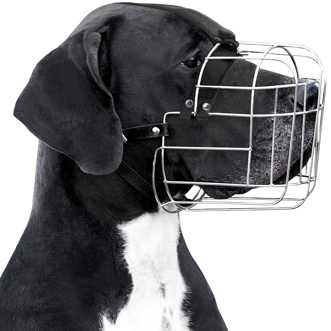 BronzeDog Metall Hund Maulkorb Drahtkorb Deutsche Dogge Mastiff Bernhardiner Atmungsaktive Maske mit
