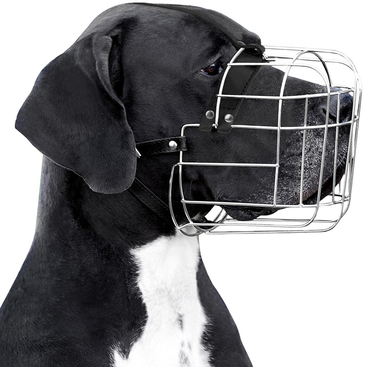 BronzeDog Metall Hund Maulkorb Drahtkorb Deutsche Dogge Mastiff Bernhardiner Atmungsaktive Maske mit