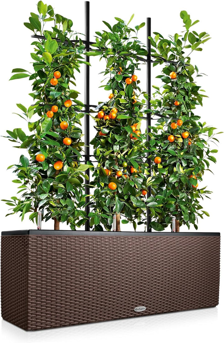 LECHUZA TRIO Cottage 30 mokka 15005 Pflanzgefäss mit Erd-Bewässerungs-System 100x32,5x34,5 cm Mokka,