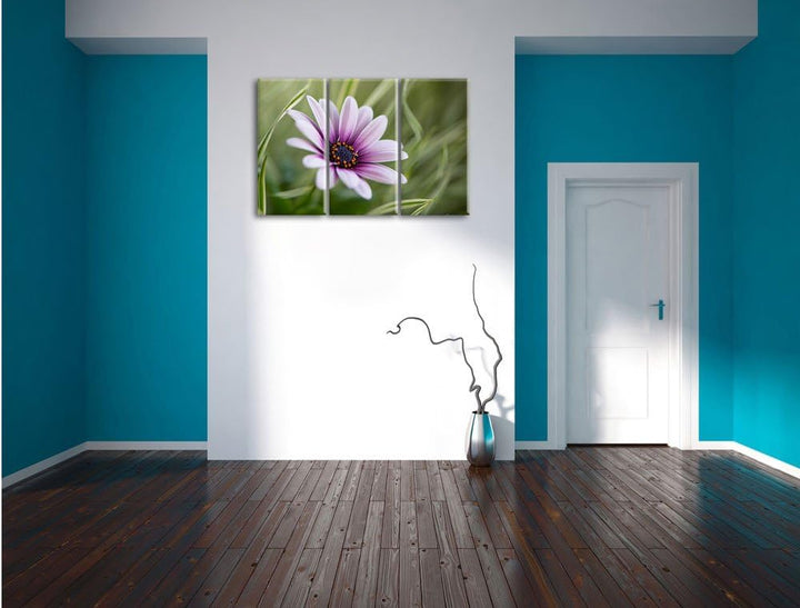 Pixxprint Blume in der Natur als Leinwandbild - Grösse: 3-Teilig (120x80cm) - Wandbild - Kunstdruck