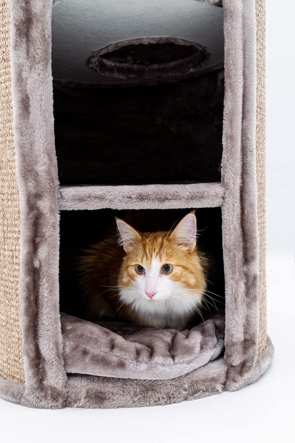 Petrebels Kratztonne XXL Superdome 120 cm hoch, Ø 50 cm, Design Kratztonne für grosse Katzen, extra