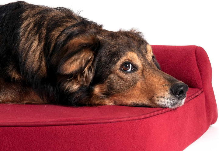 Karlie Kissen Ortho Visco L: 80 cm B: 60 cm H: 21 cm rot