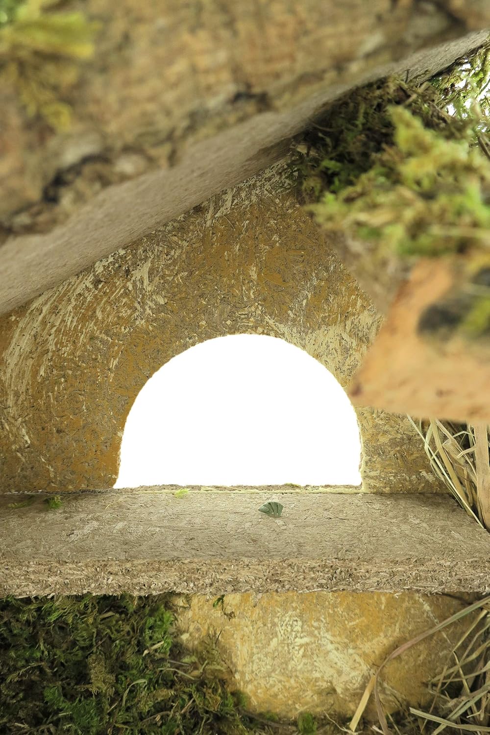 Bertoni Leere Holzhütte mit Zaun und Fenster, Holz, Mehrfarbig, Einheitsgrösse