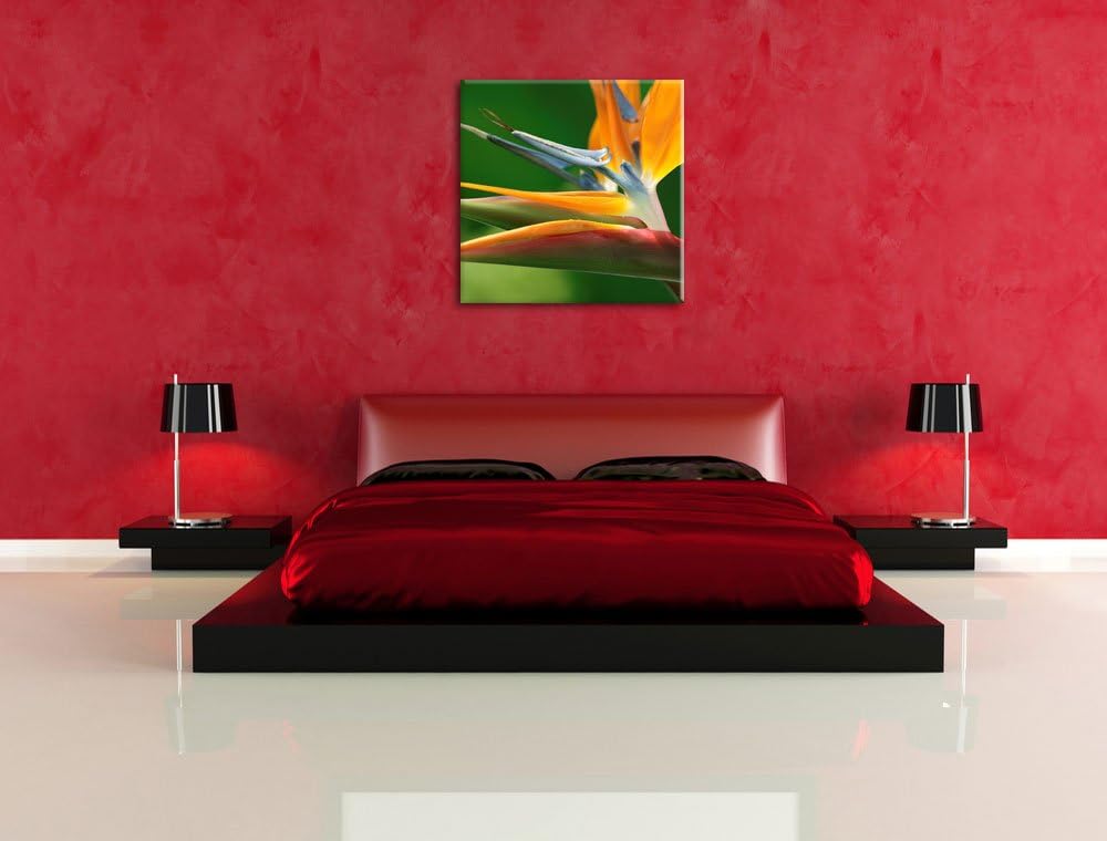 Pixxprint Tropische Blume, Format: 70x70 auf Leinwand, XXL riesige Bilder fertig gerahmt mit Keilrah