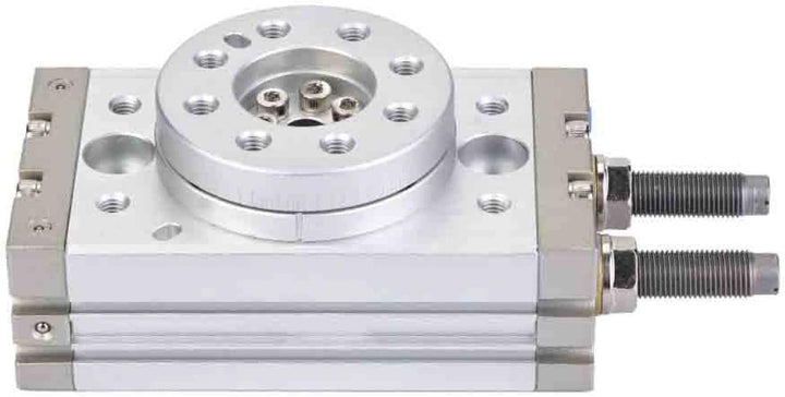180 Grad Drehbarer Pneumatischer Luftzylinder MSQB-20R mit Puffer-Präzisions-Pneumatikzylinder 0.1-1