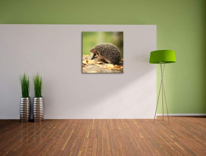 Pixxprint Igel im Laub, Format: 70x70 auf Leinwand, XXL riesige Bilder fertig gerahmt mit Keilrahmen