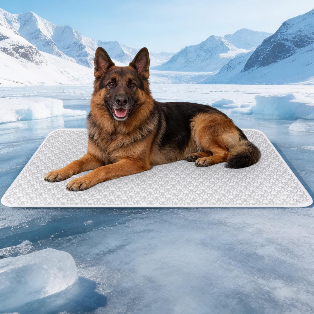 KüHlmatte für Hund Und Katze, Ohne Gel, SelbstküHlend, 101 X 71 cm | KüHldecke Hund Katze, HundeküHl