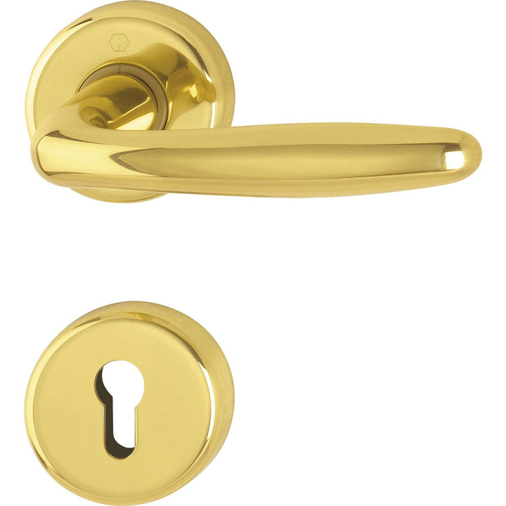 HOPPE 3066793 Drücker-Garnitur Roissy auf Rundrosette | Messing poliert | Profilzylinder | gold glän