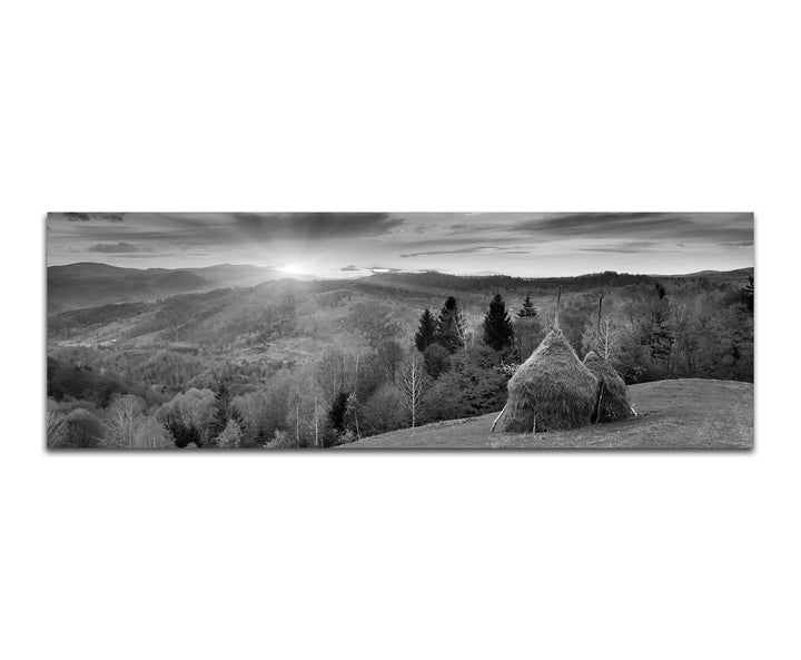 Paul Sinus Art Leinwandfoto als Panorama SCHWARZ/Weiss 120x40cm Wald Berge Wiese Herbst Sonnenunterg