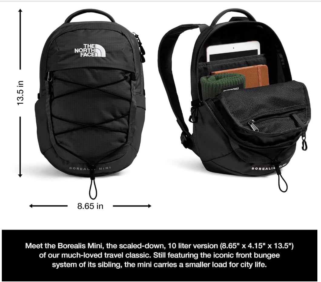 The North Face Unisex Borealis Mini Backpack Rucksack (1er Pack) Einheitsgrösse Tnf Black-tnf Black-