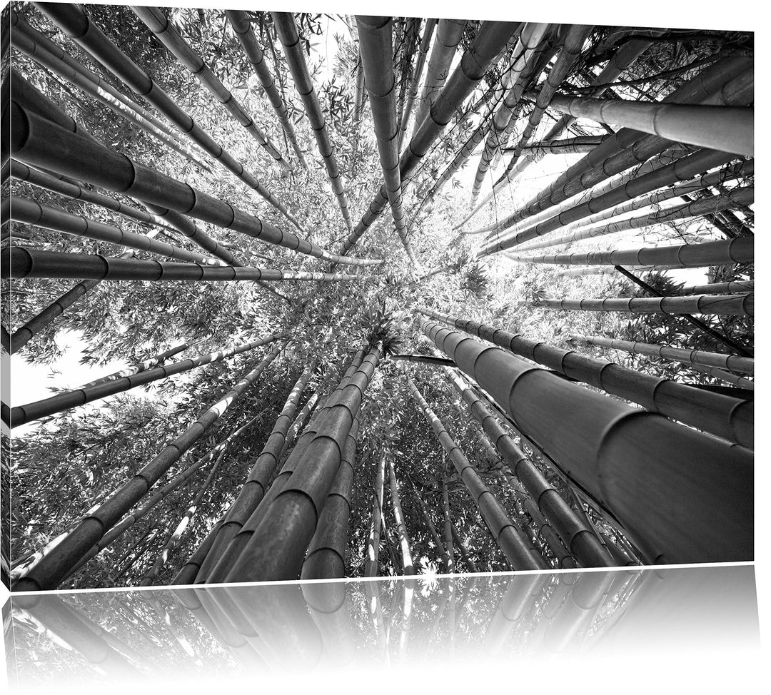 Grüner Bambus Kunst B&W, Format: 100x70 auf Leinwand, XXL riesige Bilder fertig gerahmt mit Keilrahm
