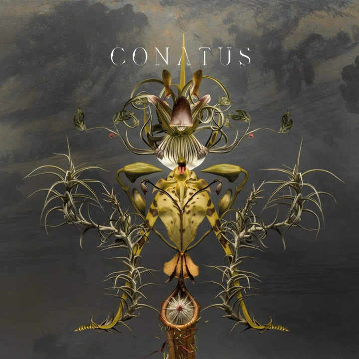 Conatus, Vinyl