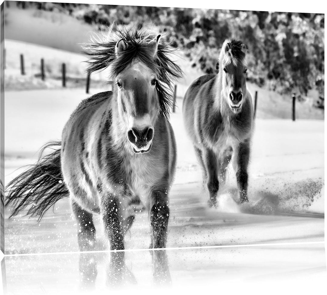 Pixxprint Pferd im Schnee / 100x70cm Leinwandbild bespannt auf Holzrahmen/Wandbild Kunstdruck Dekora