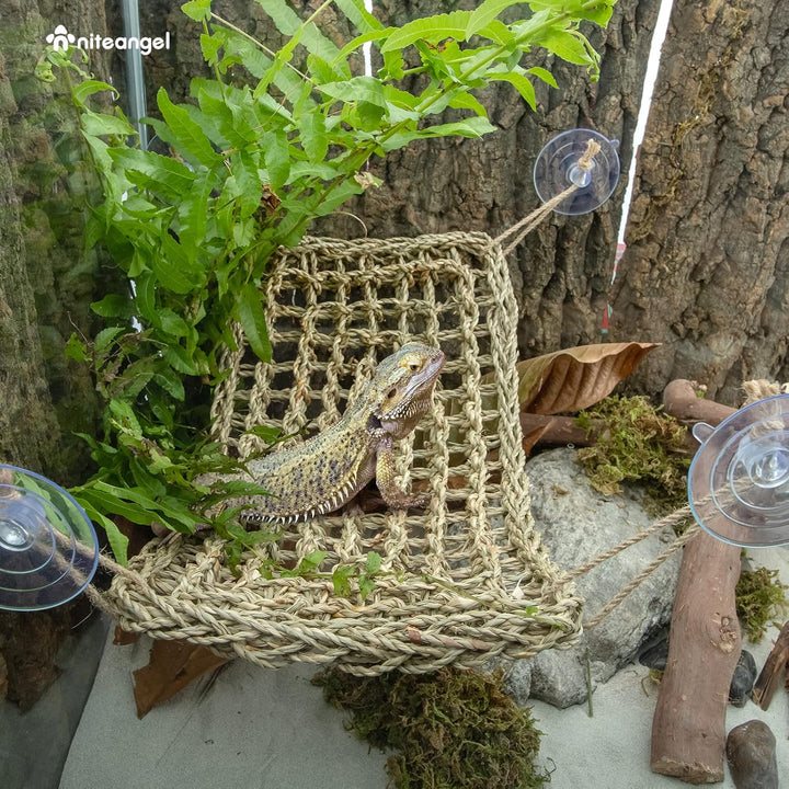 Niteangel Hängematte für Bartagamen: Liegeplatz für Chamäleons, Eidechsen, Geckos, Schlangen, Leguan