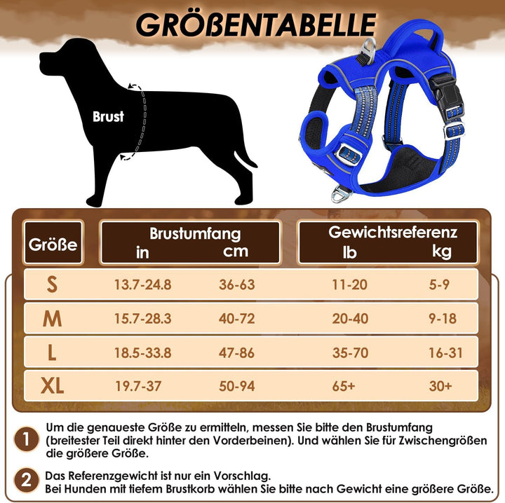 Eyein Hundegeschirr für kleine Hunde, Anti Zug Brustgeschirr mit 2 Leinenclips und leicht zu bediene