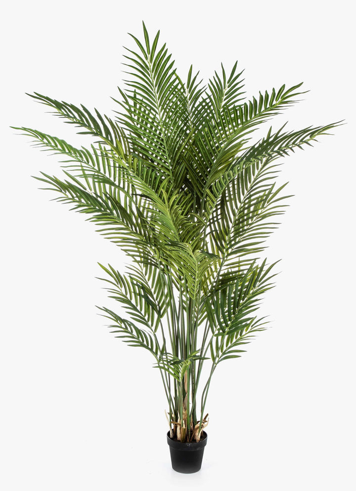artplants.de Kunstpalme Arekapalme LUVA, 170cm - Künstliche Areca