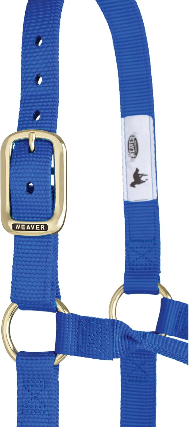 WEAVER Leather, Nicht verstellbares Halfter Blau Average Horse, Blau Average Horse