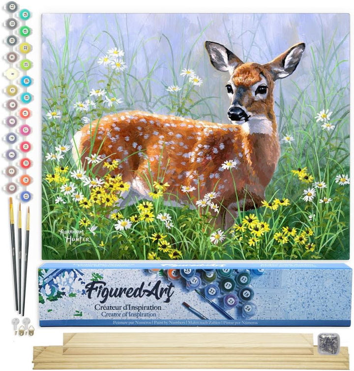 Figured'Art Malen Nach Zahlen Erwachsene Mit Rahmen Reh auf der Wiese - Paint by Numbers Basteln DIY