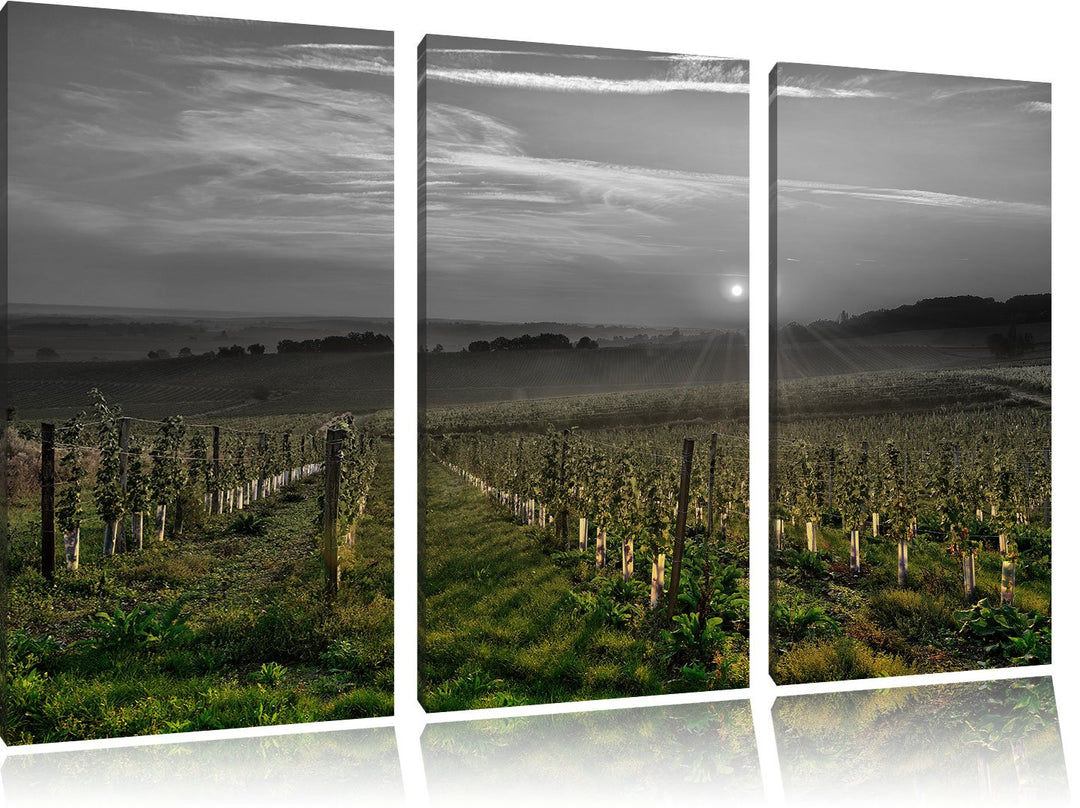 Pixxprint Weinberg in Bergerac Frankreich / 3-Teilig/Gesamtmass 120cm Leinwandbild bespannt auf Holz