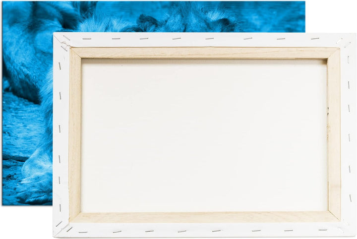 deyoli Atemberaubende Löwen Format 100x70 Effekt: Monocrome Blau als Leinwandbild, Motiv fertig gera