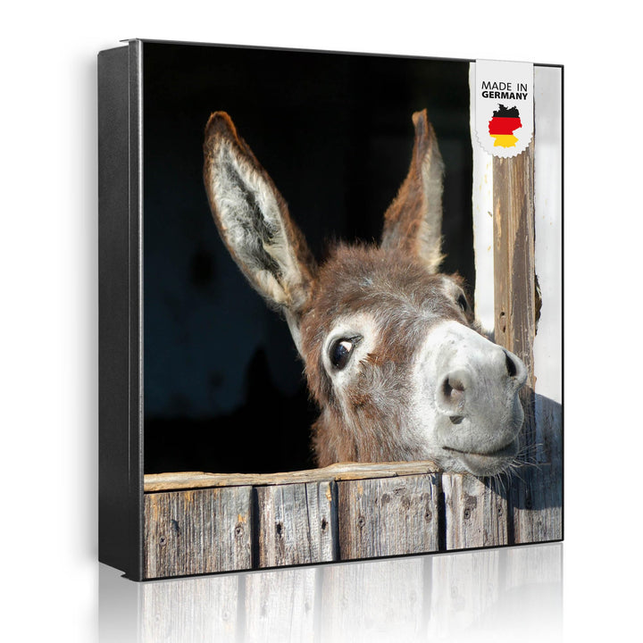 banjado® Grosser Schlüsselkasten Glas/Schlüsselbox 30cm x 30cm mit 50 Haken - Motiv Nicki/Schlüsselk