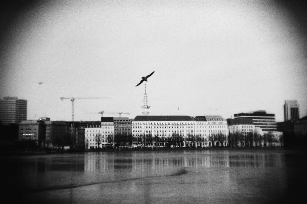 Anton & HOLGA 120GCFN Rollfim Camera Set (incl. B+W Film+Batterie) Optical Glas Lens AK3-120GCFN-BS,