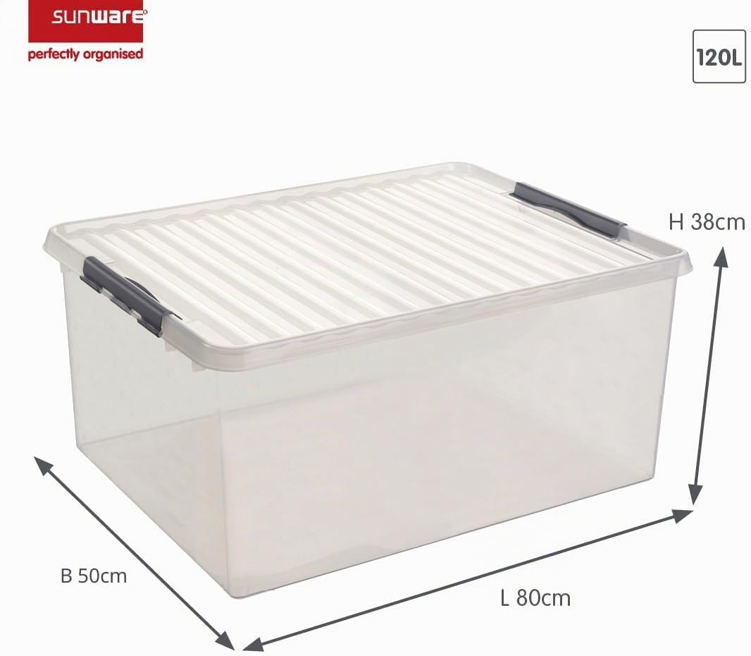 Sunware Box, Plastik, Transparent Metallic, Einheitsgrösse