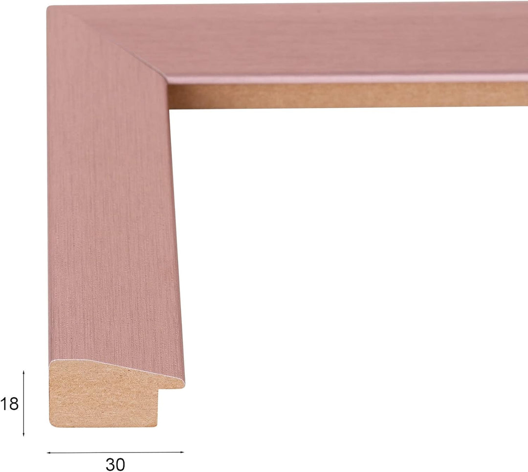 Rahmendesign24 Posterrahmen Rio 42x59,4 (DIN A2) Roségold Fotorahmen, Wechselrahmen, Bilderrahmen, 4