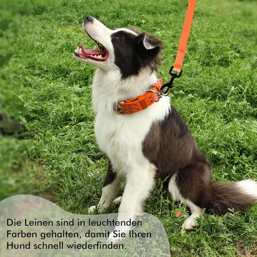 Schleppleine für Hunde, Schleppleine 5m/10m/15m/20m mit Handgriff und D-Ring, Wasserdicht und Leicht