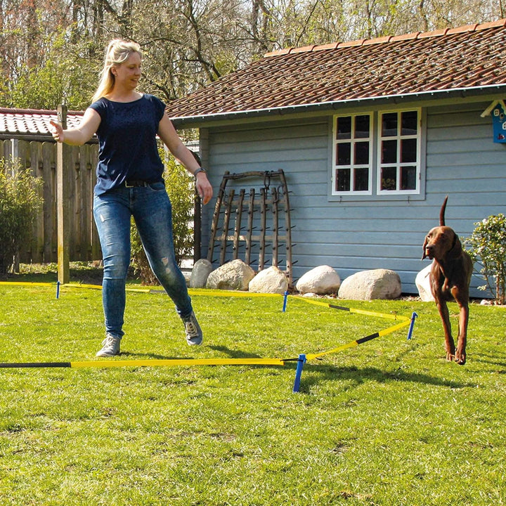 Schecker Longier Set für Hunde mit einem Radius von 3-3,5 m stärkt Konzentration Aufmerksamkeit long