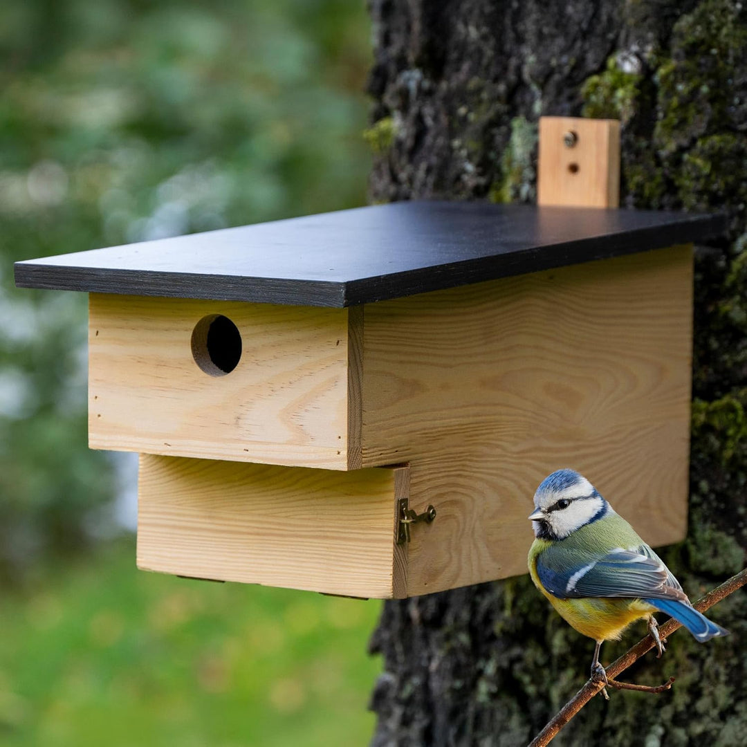 dobar® Grosser Nistkasten für Höhlenbrüter mit Räuberschutz -Vogelbrutkasten für Meisen und Sperling