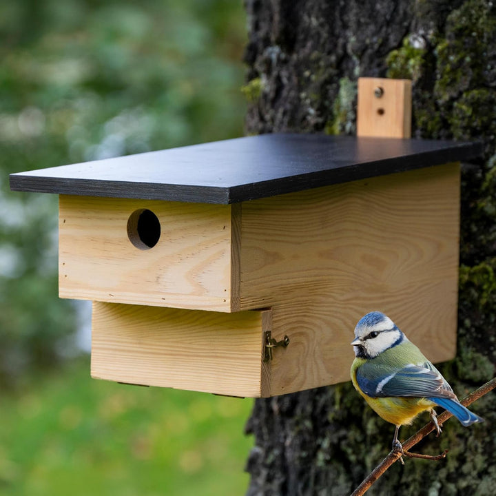 dobar® Grosser Nistkasten für Höhlenbrüter mit Räuberschutz -Vogelbrutkasten für Meisen und Sperling