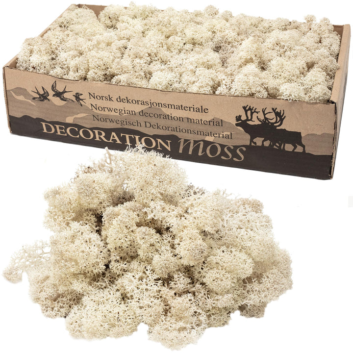 Karton Islandmoos Natur - 500g
