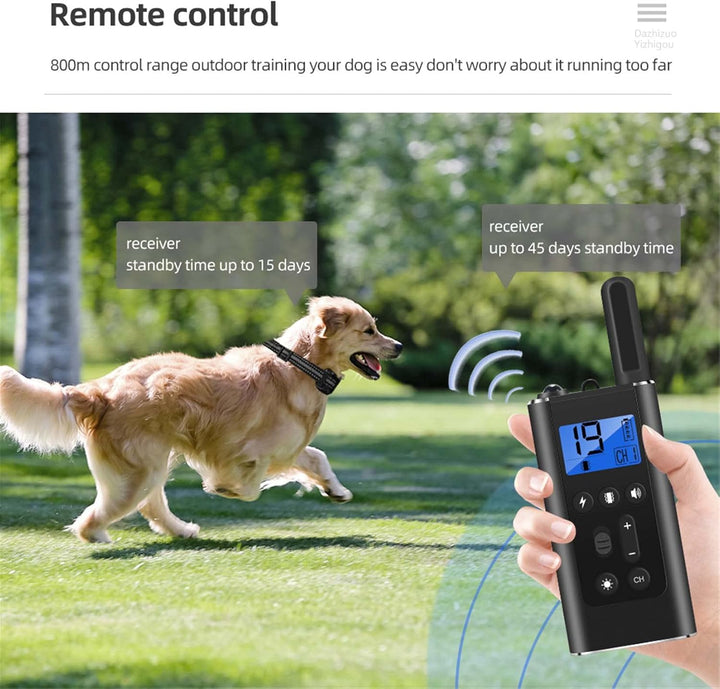 Generisch Trainingsequipment, 2025 Neuheit Erziehungshilfen für Hunde,Einfach und leicht zu handhabe