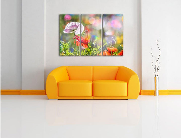 Pixxprint Kalifornischer Mohn im Frühling / 3-Teilig/Gesamtmass 120cm Leinwandbild bespannt auf Holz