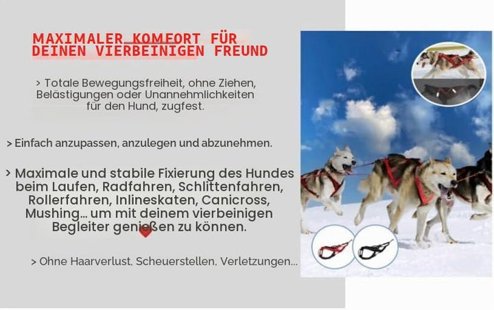 Total Sportgeschirr mit Hund, Laufen, Canicross, Schlitten, Mushing, Fahrrad, Roller... (M, Rot) M R